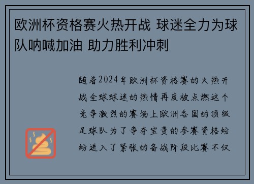 欧洲杯资格赛火热开战 球迷全力为球队呐喊加油 助力胜利冲刺